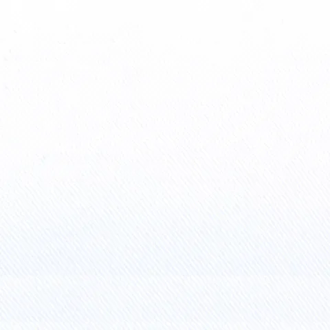 CH0002 WHT